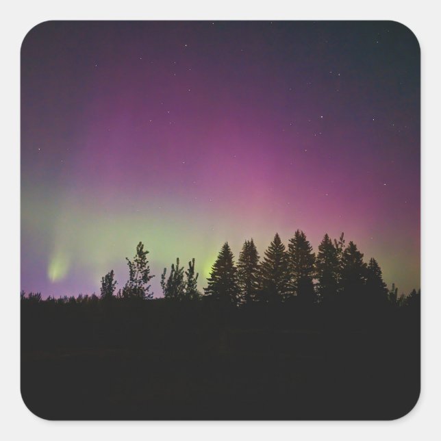 Adesivo Quadrado Vinhetas (Frente)