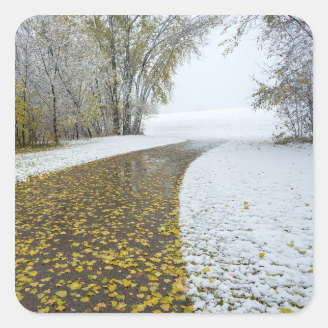 Adesivo Quadrado Vinhetas (Frente)