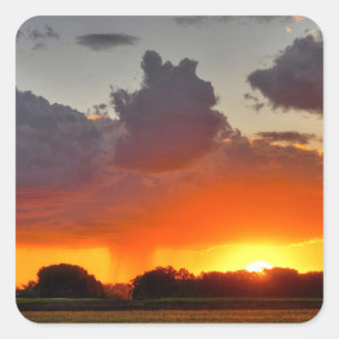 Adesivo Quadrado Vinhetas