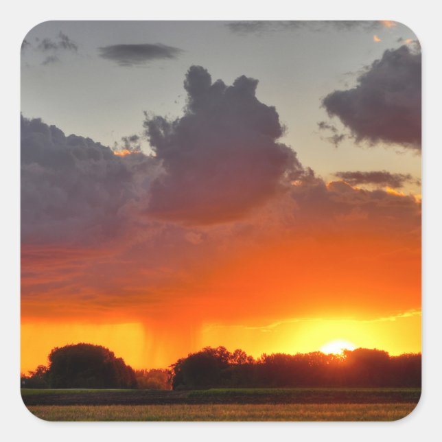 Adesivo Quadrado Vinhetas (Frente)