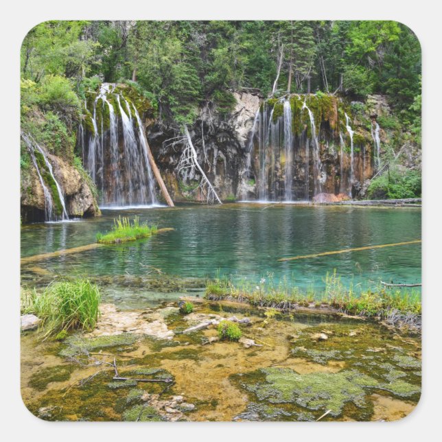 Adesivo Quadrado Vinhetas (Frente)