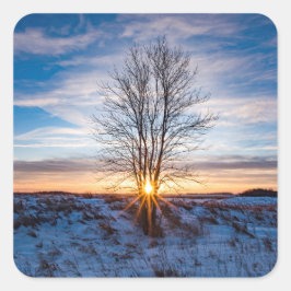 Adesivo Quadrado Vinhetas