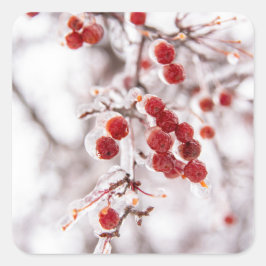 Adesivo Quadrado Vinhetas