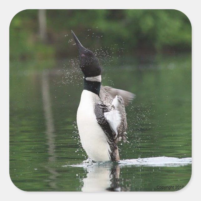 Adesivo Quadrado Vinhetas (Frente)