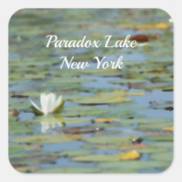 Adesivo Quadrado Vinhetas Aquáticas De Flores Aquáticas