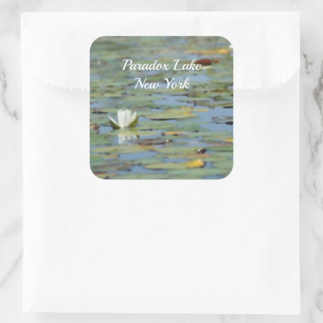 Adesivo Quadrado Vinhetas Aquáticas De Flores Aquáticas (Bolsa)