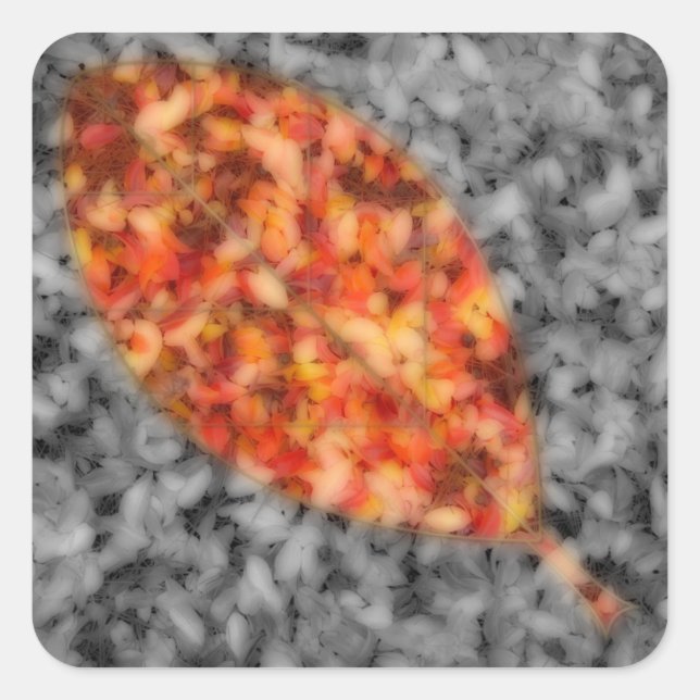 Adesivo Quadrado Vinhetas Brilhantes (Frente)