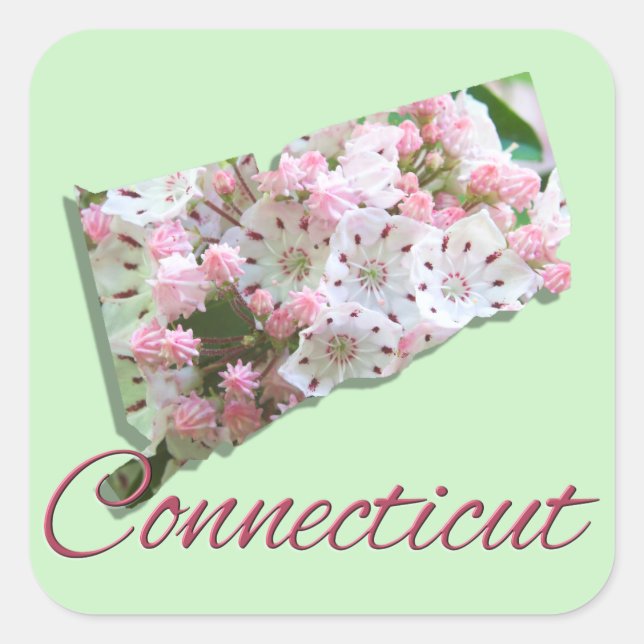 Adesivo Quadrado Vinhetas - CONNECTICUT (Frente)