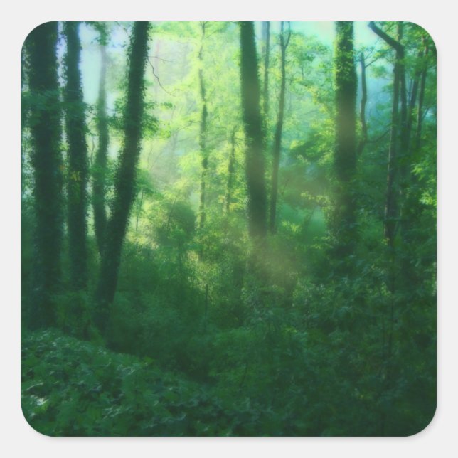 Adesivo Quadrado Vinhetas de fertilidade (Frente)