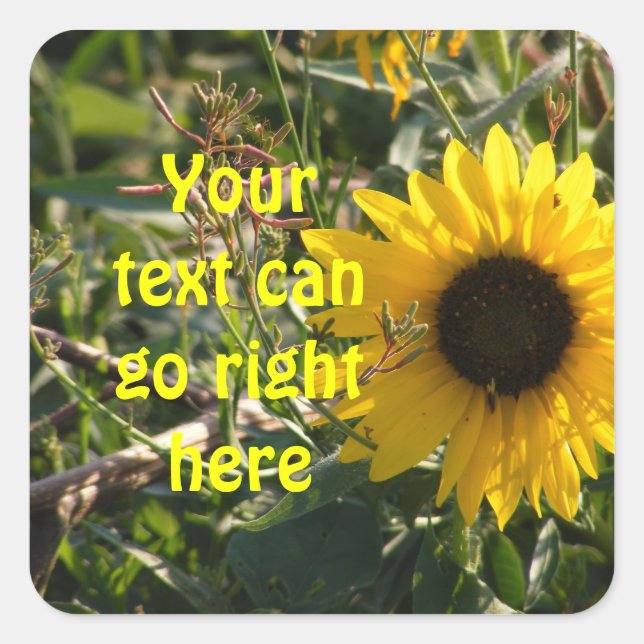 Adesivo Quadrado Vinhetas de girassol (Frente)