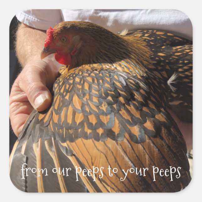 Adesivo Quadrado Vinhetas de ovos frescos (Frente)