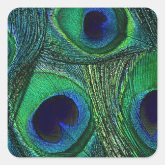 Adesivo Quadrado Vinhetas de penas de punho azul verde-lacrimogêneo