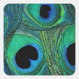 Adesivo Quadrado Vinhetas de penas de punho azul verde-lacrimogêneo