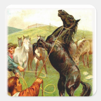 Adesivo Quadrado Vinhetas de vaqueiro de cavalos selvagens