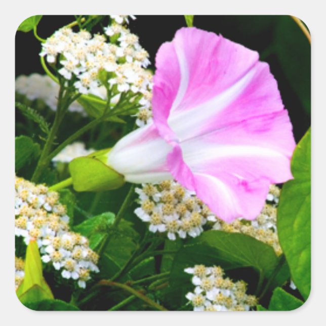 Adesivo Quadrado Vinhetas Florais do Partido do Jardim (Frente)