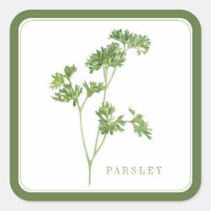 Adesivo Quadrado Vinhetas grandes quadradas FRESCAS PARSLEY - Verde