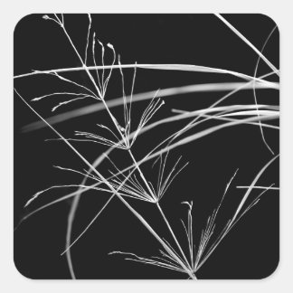 Adesivo Quadrado Vinhetas naturais de abstrato
