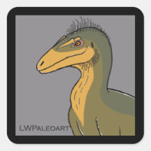 Vinhetas quadradas de aerosteon