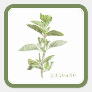 Adesivo Quadrado Vinhetas quadradas largas de OREGANO FRESCAS (+tex