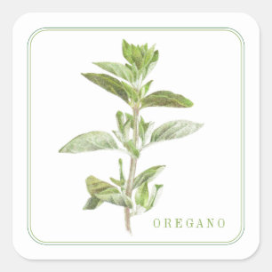 Adesivo Quadrado Vinhetas quadradas pequenas de OREGANO FRESCAS