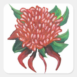 Adesivo Quadrado Vinhetas Waratah desenhadas pela mão