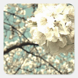 Adesivo Quadrado Vintage Apfelblüte