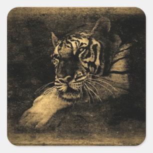 Adesivo Quadrado Vintage Art Sticker