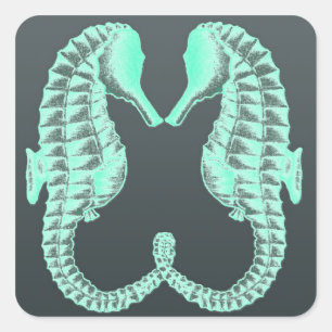 Adesivo Quadrado Vintage azul que beija cavalos de mar