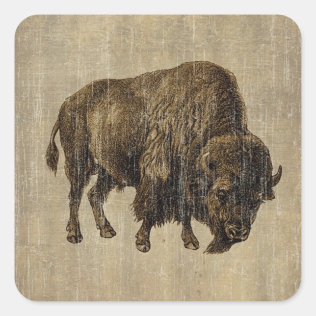 Adesivo Quadrado Vintage Bison (Frente)