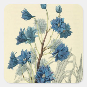 Adesivo Quadrado Vintage Blue Larkspur Flower