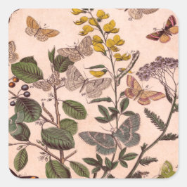 Adesivo Quadrado Vintage Botânica Floral Ilustração de Flores Selva