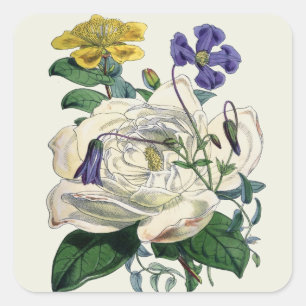 Adesivo Quadrado Vintage Botanical Magnolia Impressão - Sticker