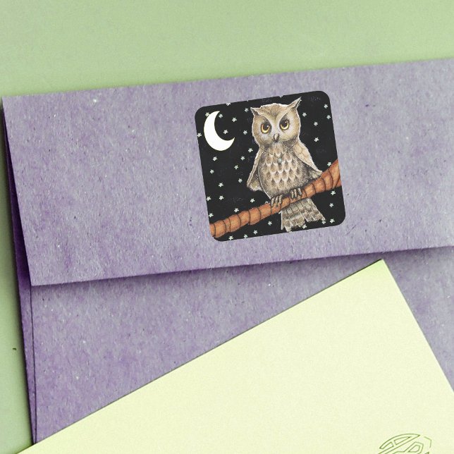 Adesivo Quadrado Vintage Brown Owl Necklace Crescent Moon Stars (Brown owl golden eyes blue necklace on branch crescent moon stars on black stickers.)