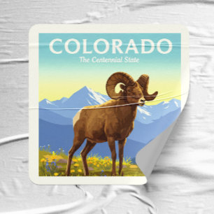 Adesivo Quadrado Vintage Colorado