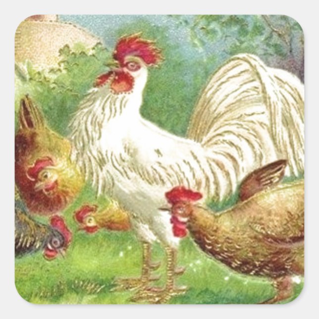 Adesivo Quadrado Vintage Country Rooster and Chickens (Frente)