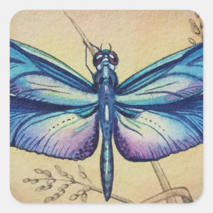 Adesivo Quadrado Vintage Dragonfly No. 6 e Grass Watercolor Art