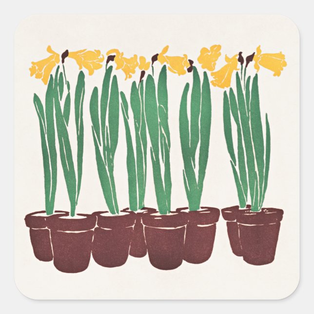 Adesivo Quadrado Vintage Flower Illustration, 1898, (Frente)