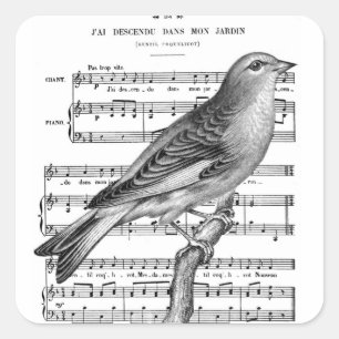 Adesivo Quadrado Vintage French Bird Song Music Square Stickers