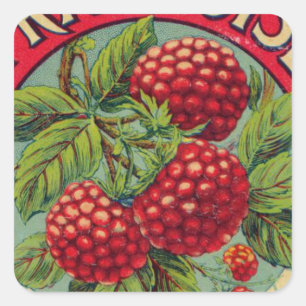 Adesivo Quadrado Vintage French Fruta