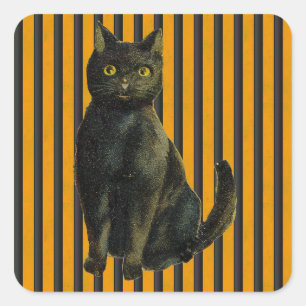 Adesivo Quadrado Vintage Halloween Cat