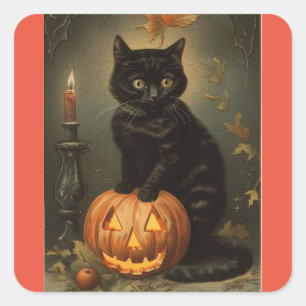 Adesivo Quadrado Vintage Halloween Kitten Sticker