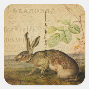 Adesivo Quadrado Vintage Hare Animal Illustration Floral Collage