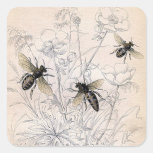 Adesivo Quadrado Vintage Honey Bee Art Impressão