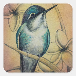 Adesivo Quadrado Vintage Hummingbird N.º 3 Arte por Aquarela