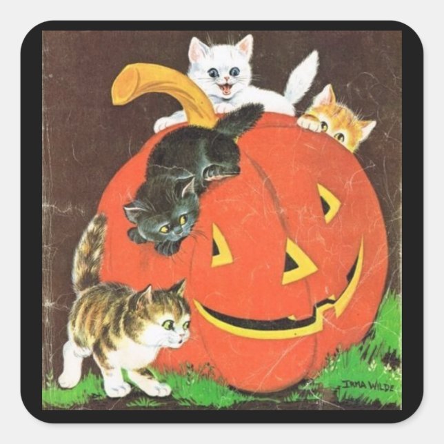 Adesivo Quadrado Vintage Kittens e Pumpkin Stickers (Frente)
