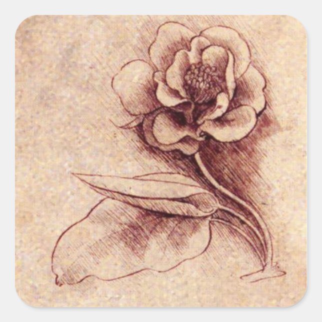 Adesivo Quadrado Vintage Leonardo Da Vinci - Vinheta Esquadra-Flor (Frente)