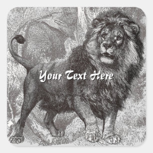 Adesivo Quadrado Vintage Lion Stickers