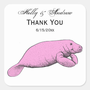 Adesivo Quadrado Vintage Manatee Draing Pink