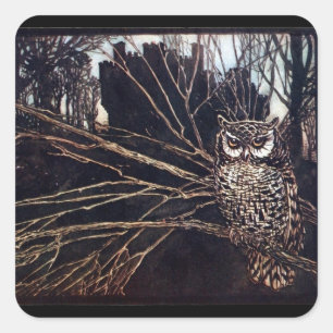 Adesivo Quadrado Vintage Night Owl Rackham