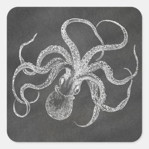 Adesivo Quadrado Vintage Octopus Chalkboard Background Modelo